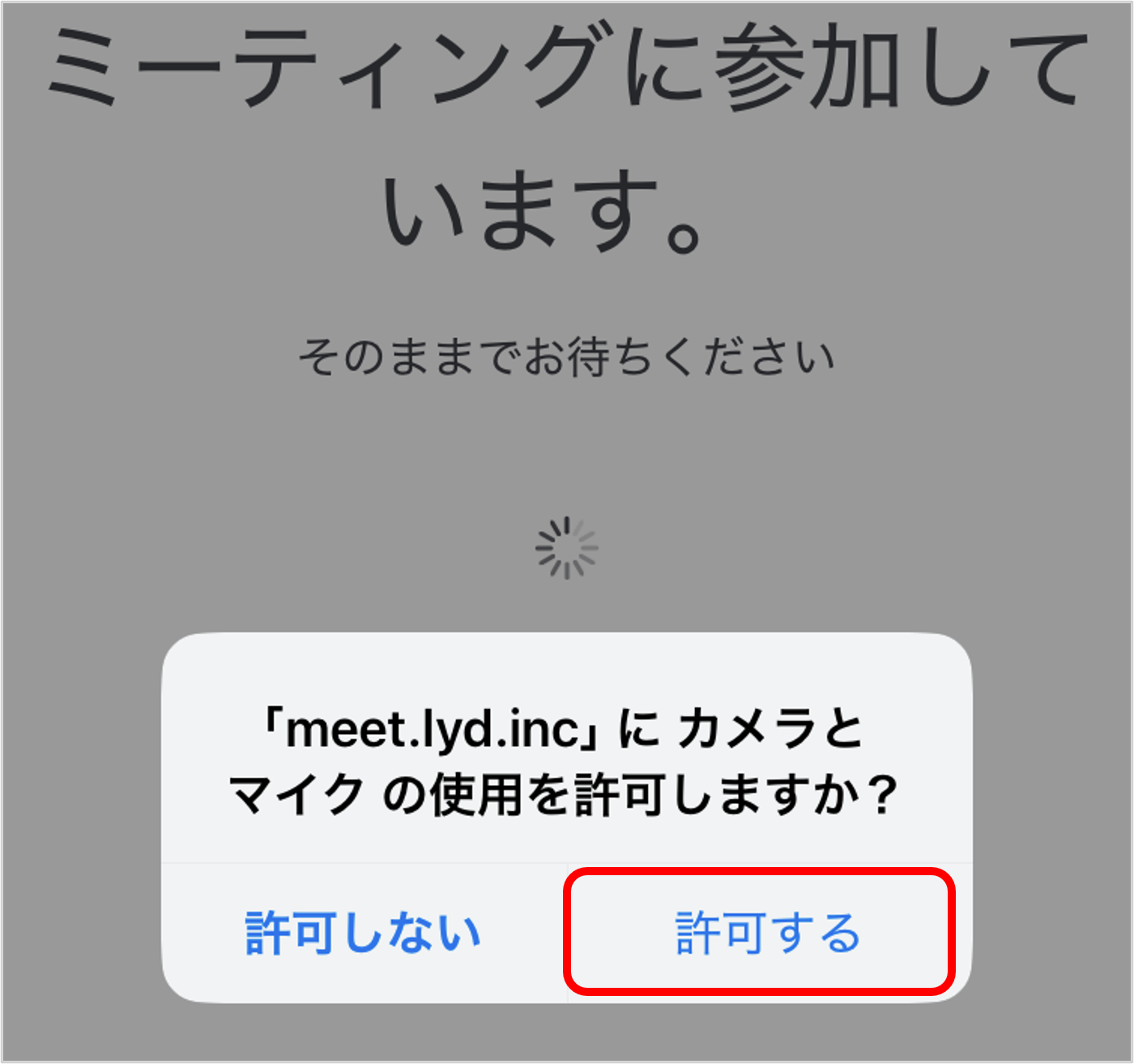カメラとマイクを許可